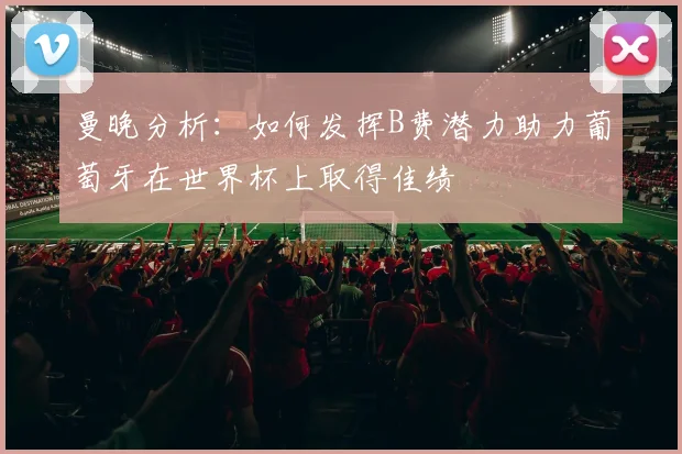 曼晚分析：如何发挥B费潜力助力葡萄牙在世界杯上取得佳绩
