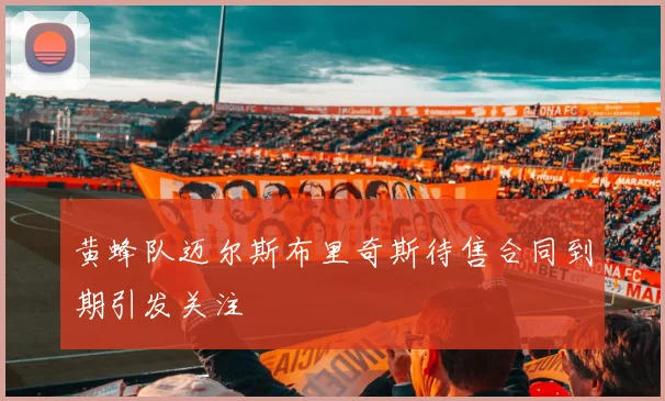 黄蜂队迈尔斯布里奇斯待售合同到期引发关注