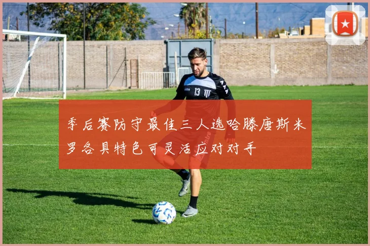 季后赛防守最佳三人选哈滕唐斯米罗各具特色可灵活应对对手